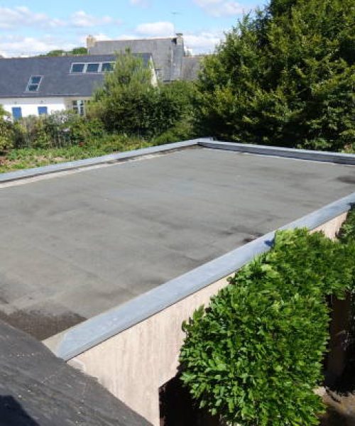 Flat-roofed garages  View from the outside   In the background houses with slate-tiled roofs